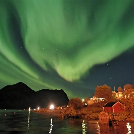 Ferrytale, Cozy, Spacious House On Senja Gryllefjord 外观 照片