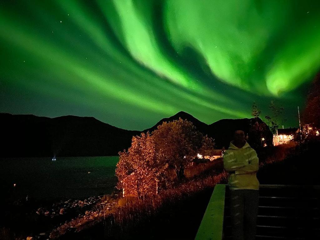 Ferrytale, Cozy, Spacious House On Senja Gryllefjord 外观 照片