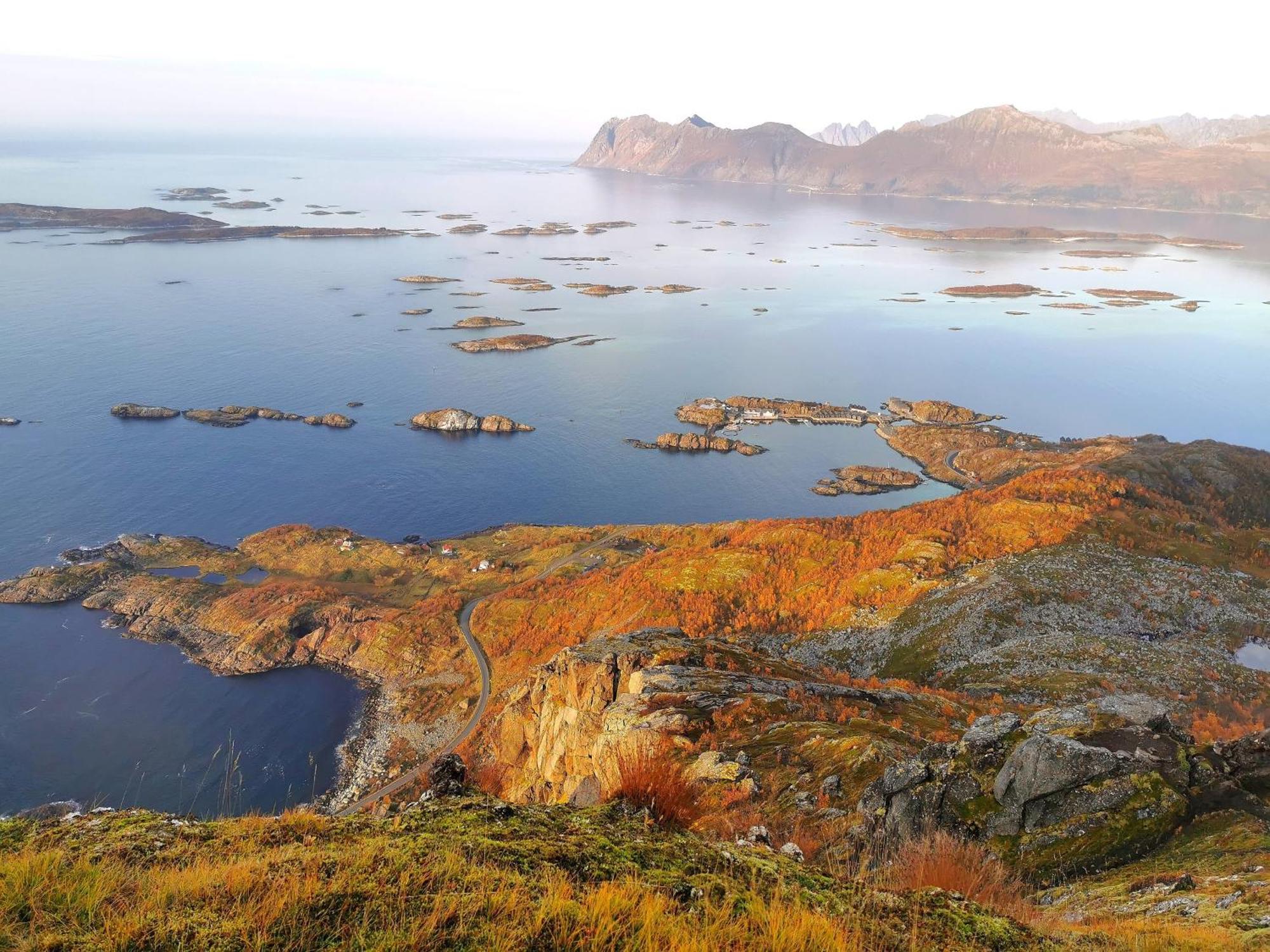 Ferrytale, Cozy, Spacious House On Senja Gryllefjord 外观 照片