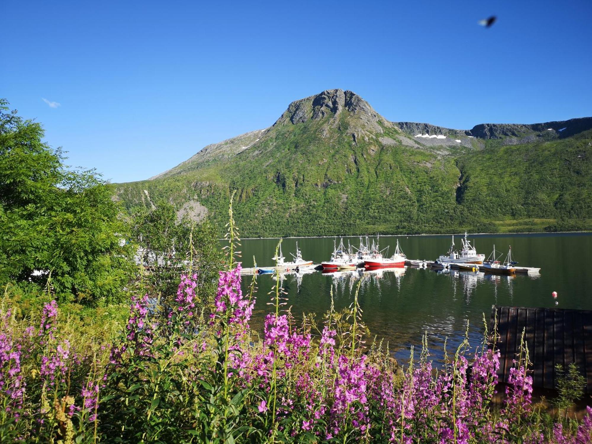Ferrytale, Cozy, Spacious House On Senja Gryllefjord 外观 照片