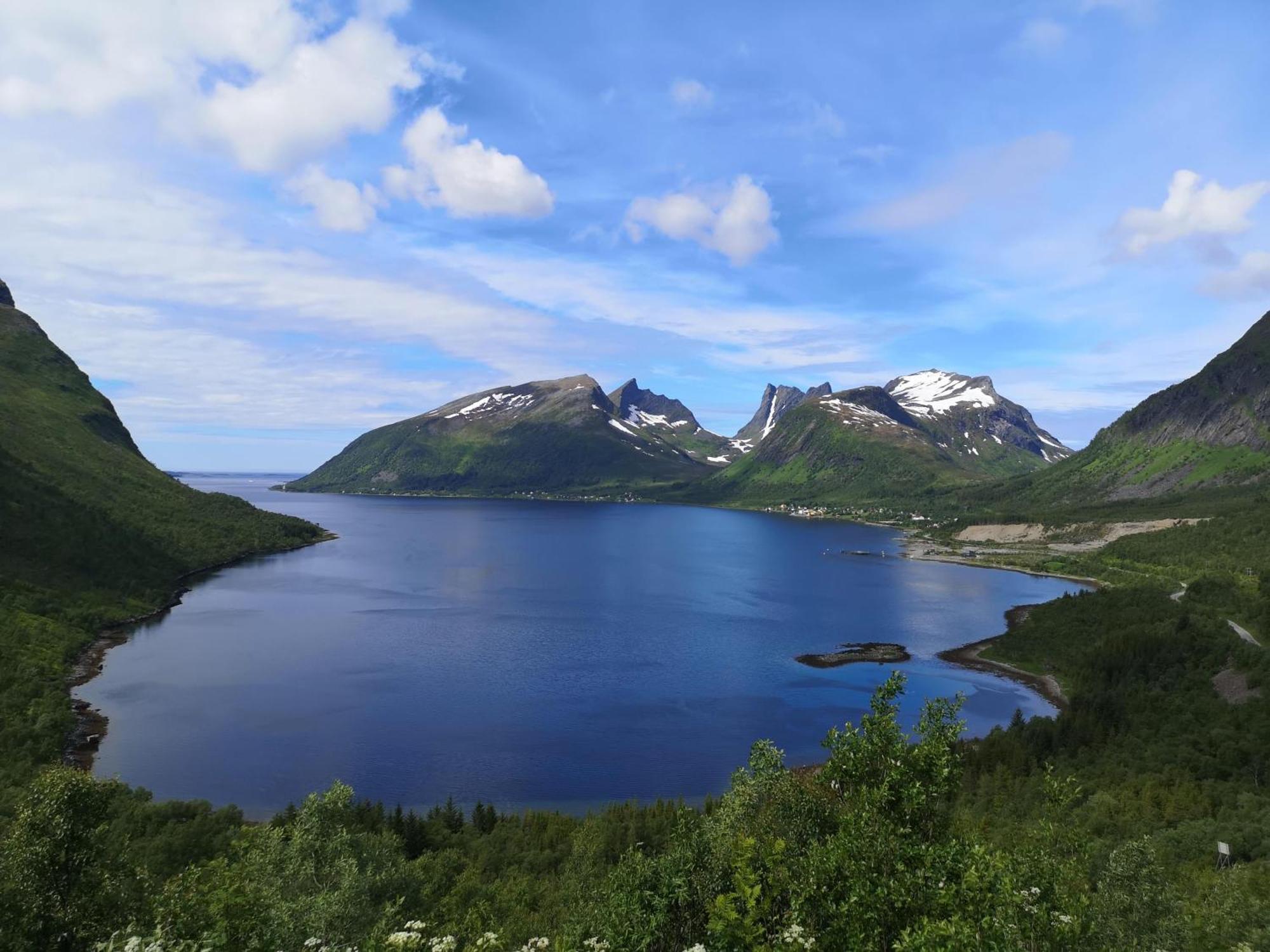 Ferrytale, Cozy, Spacious House On Senja Gryllefjord 外观 照片