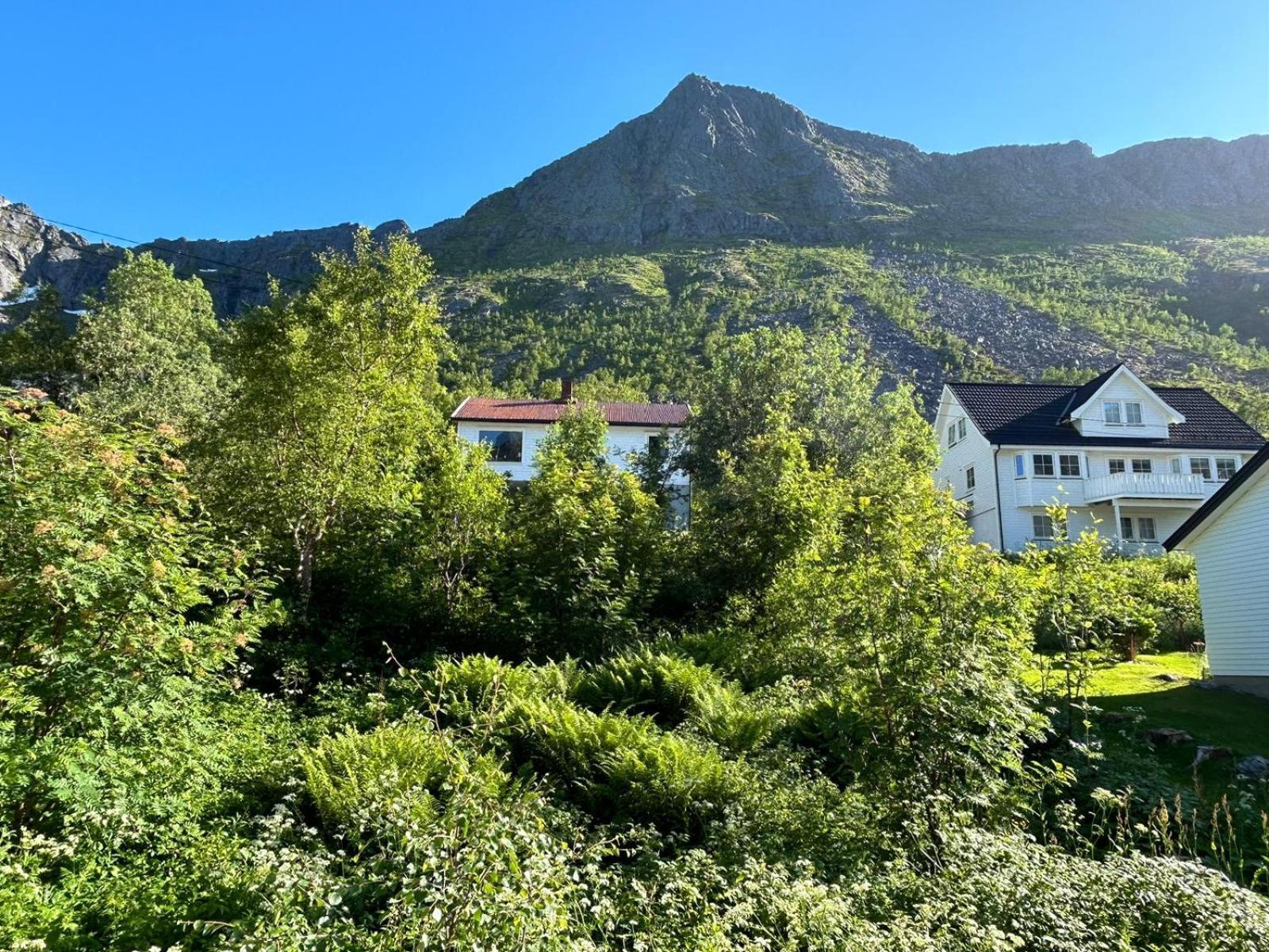 Ferrytale, Cozy, Spacious House On Senja Gryllefjord 外观 照片